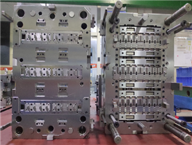 Precision Mold